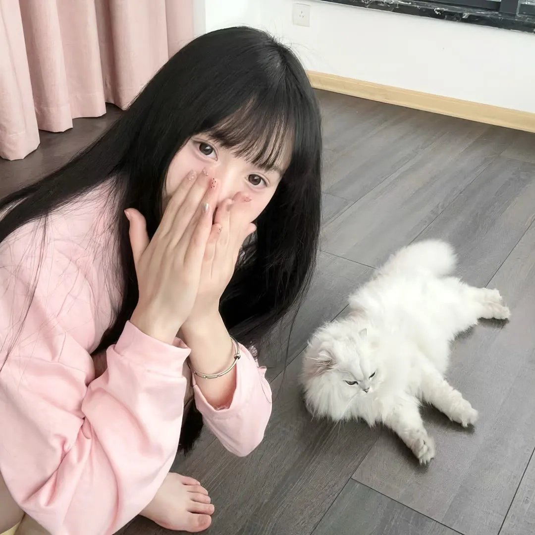 扭计大贼